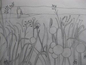 Dandelion Drawing